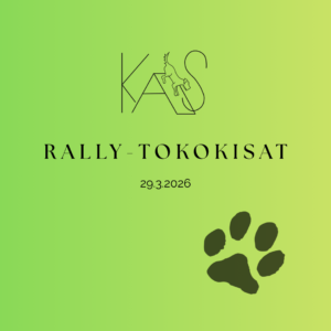 Rallytoko_29.3.2026
